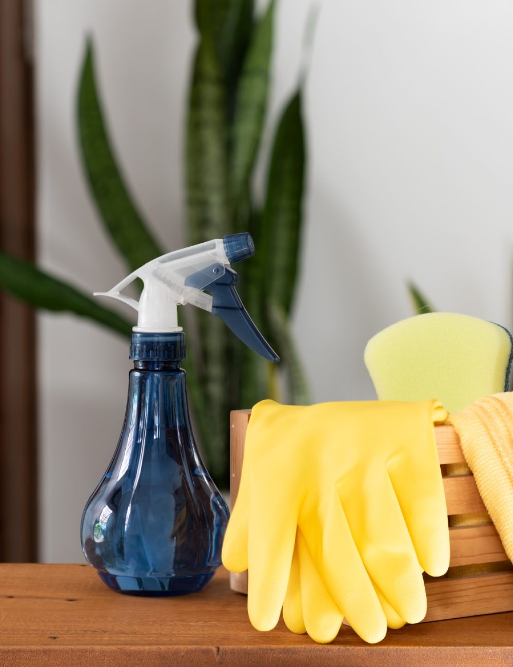 cleaning supplies